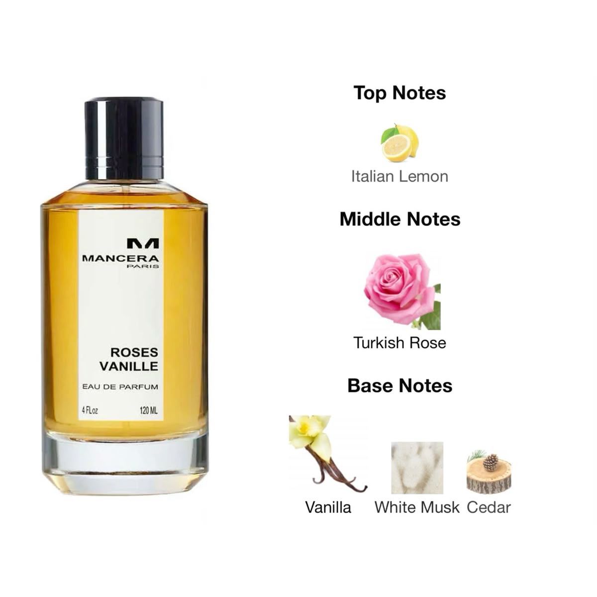 Rose & Vanilla Eau de Parfum for Women – Long Lasting Floral Oriental Scent | 120ml
